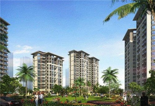 澳美徕澳门花胶鸡