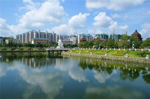 巴城黄焖鸡米饭