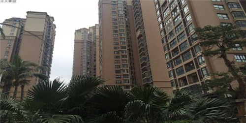 哪个品牌的空气炸锅好