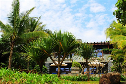 在祁东县比较知名的奶茶品牌是哪个，在祁东县加盟玉林奶茶什么位置好