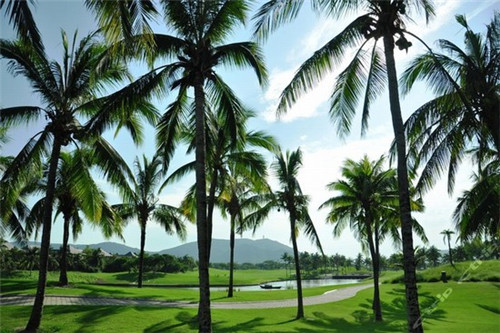 世界十大文豪可信吗（世界十大文豪有谁）