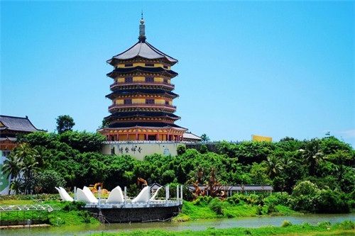 抖音号抖音码能删除吗（抖音号能找回密码吗）